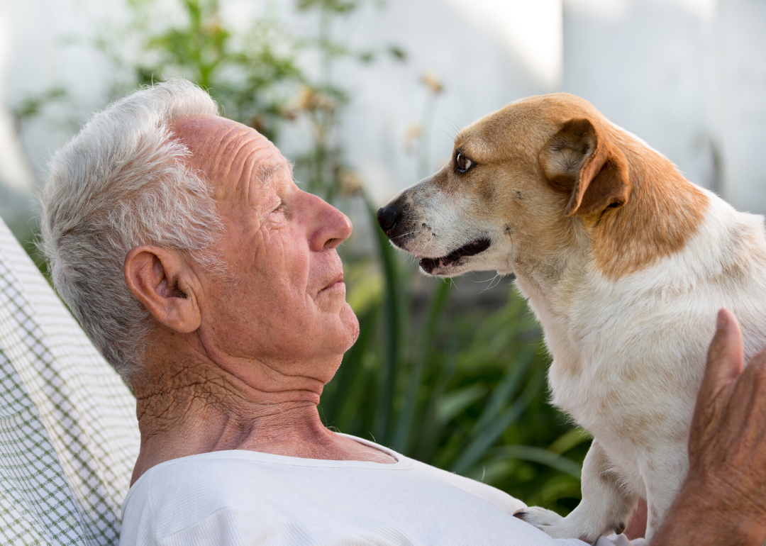 The hormonal system of dogs has evolved so they can live with and even love us